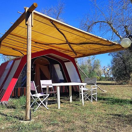 Camping Terreno-Ro-Bi-Li Hotel Cutrofiano Eksteriør billede