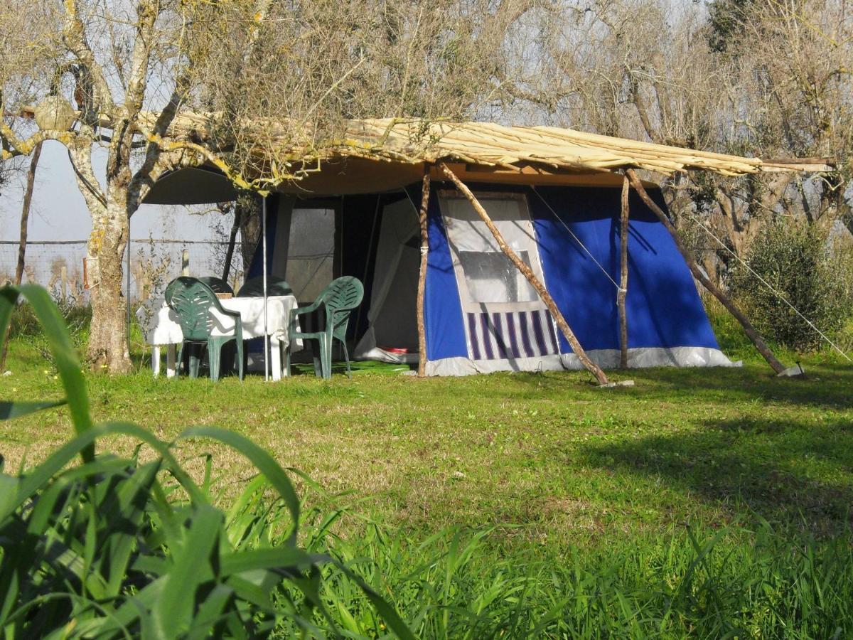 Camping Terreno-Ro-Bi-Li Hotel Cutrofiano Eksteriør billede